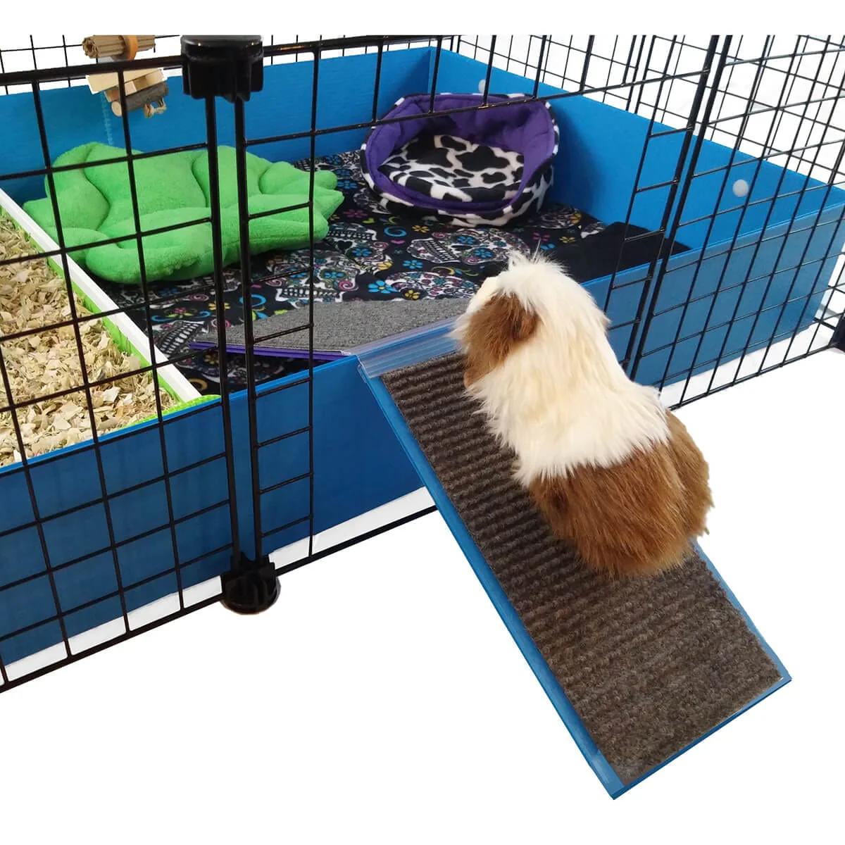 Indoor Guinea Pig Cages