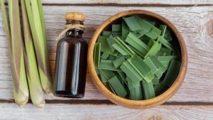 Transform Mornings With Lemongrass Essential Oil Blends That Awaken The Senses