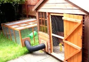 Indoor Guinea Pig Cage